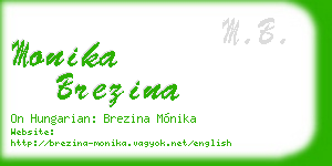 monika brezina business card